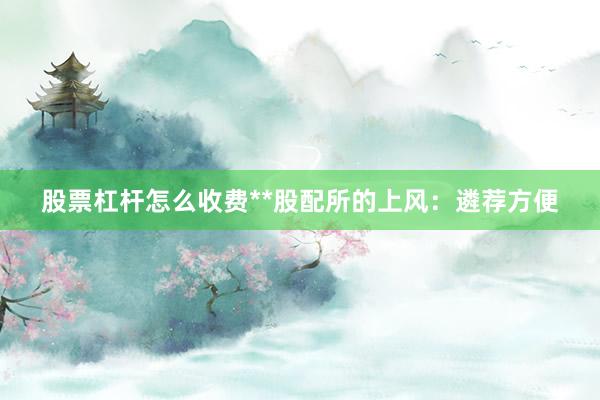 股票杠杆怎么收费**股配所的上风：遴荐方便