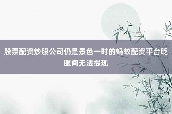 股票配资炒股公司仍是景色一时的蚂蚁配资平台眨眼间无法提现