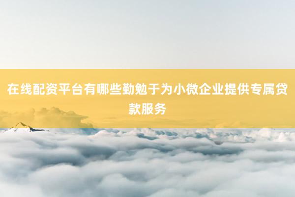 在线配资平台有哪些勤勉于为小微企业提供专属贷款服务