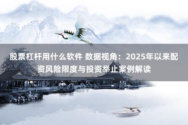 股票杠杆用什么软件 数据视角:2025年以来配资风险限度与投资举止案例解读
