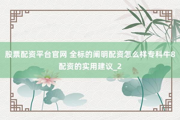 股票配资平台官网 全标的阐明配资怎么样专科牛8配资的实用建议_2